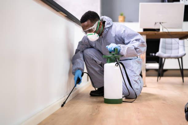 Best Residential Pest Control  in San Marino, CA